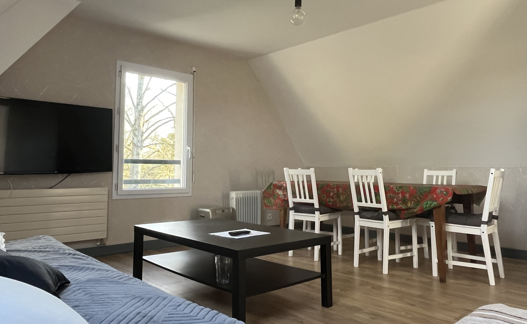 salon salle à manger fenetre sur un environnement nature